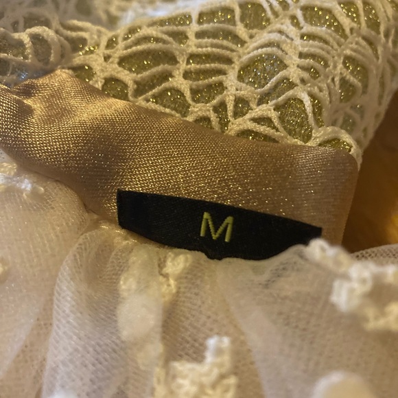 Fitwarm gold fancy dog dress - Picture 8 of 9